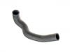 Durite de radiateur Radiator Hose:124 501 33 82