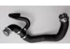 Radiator Hose:9065010282