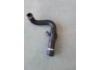 Radiator Hose:LR013684