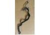 Coolant Pipe:LR081672
