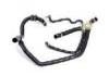 Radiator Hose:PEL500290