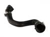 Radiator Hose:1336196